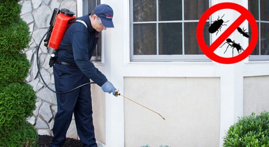 Ordu Kemirgen İlaçlama böcek ilaçlama ve haşere kontrolü — ilaclama-tr.com